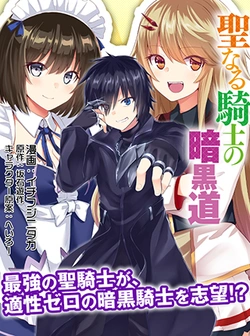 The Holy Knight’s Dark Road 