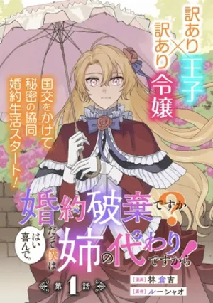Konyakuhaki desu ka? Hai Yorokonde. Datte Boku wa Ane no Kawari desu kara!