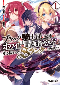 Burakku na Kishidan no Dorei ga Howaitona Boukensha Girudo ni Hikinukarete S Ranku ni Narimashita 