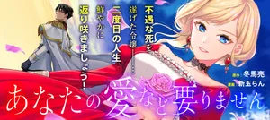 Anata no Ai Nado Irimasen 